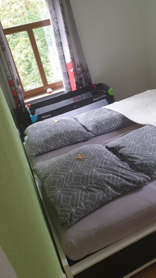 Ferienwohnung An Der Begerburg ドレスデン エクステリア 写真