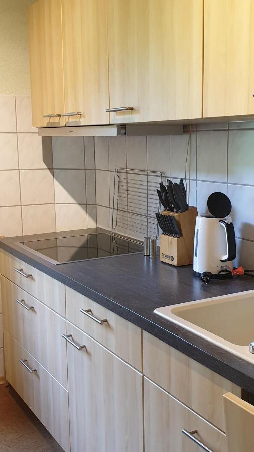 Ferienwohnung An Der Begerburg ドレスデン エクステリア 写真